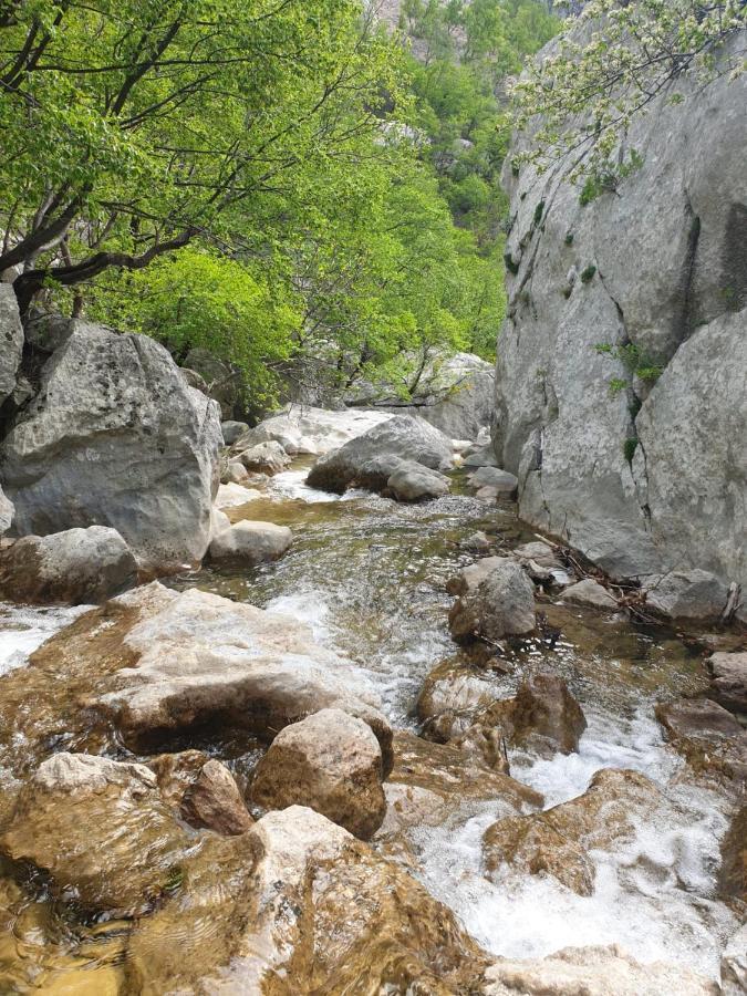 Ferienwohnung Vito Starigrad Paklenica Exterior foto